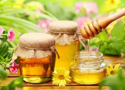 použití medu na prázdný žaludek