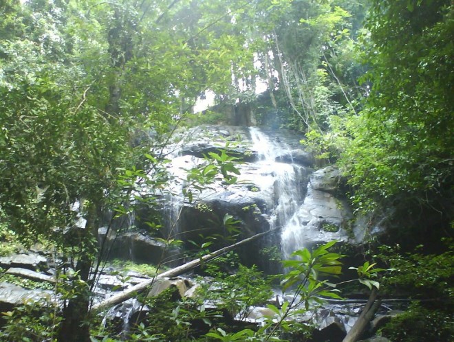 Водопад парка