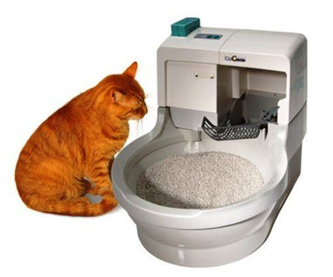 самоочищающийся биотуалет для кошек