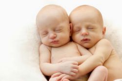 narození dvojčat je zděděno