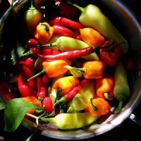pogodnosti za vruće paprike