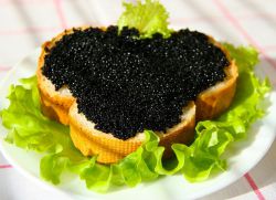 kaviar je črna