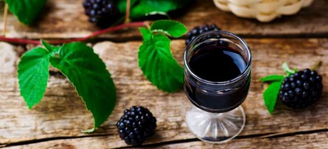 blackberry domowej roboty prosty przepis na wino
