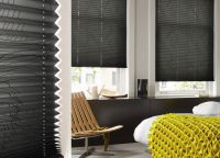 Blinds of pleats6