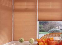 Blinds of pleats8