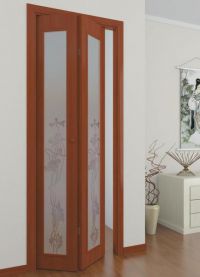 Blinds doors18