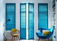 Blinds doors9