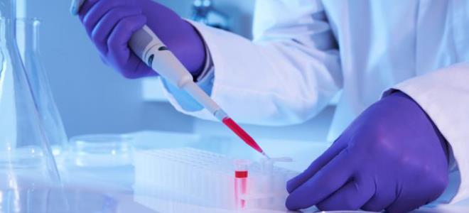 тест крви за антитела у трудноћи