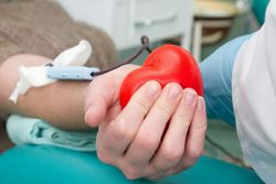 transfuze krve z žíly do kontraindikace hýždí