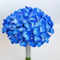 modré kytice nevěsty 5