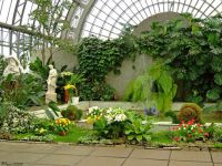 Ogród botaniczny w Petersburgu 4