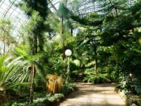 ботаническата градина в Петербург 6