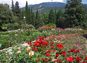 Ботаническата градина в Крим12