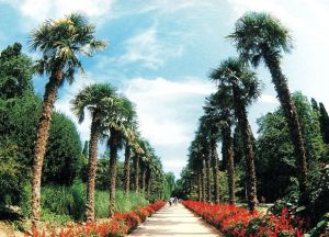Ботаническата градина в Крим18