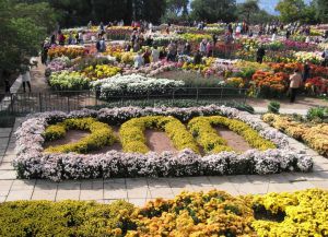 Botanická zahrada v Krymu4