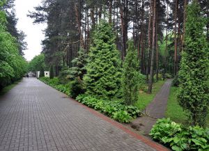 Ogród botaniczny Mińsk 6