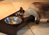 Zdjele za mačke 9