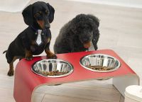 miseczki dla psów na stojaku