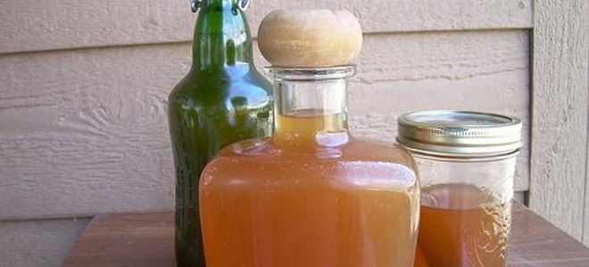 berg vyrobené z fermentovaného džemu