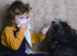 алергия към кучета при деца