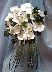Svatební kytice z orchideje 3
