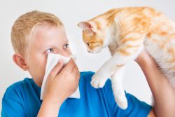 bronhijalna astma u simptomima i liječenju djece