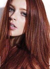 rjave lase 2