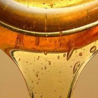 přínos medu pohanky