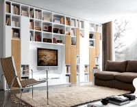 vestavěný nábytek pro obývací pokoj (knihovna) 1