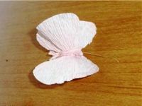 Butterfly vlnitý papír22