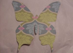 metulji z lastnimi rokami 27