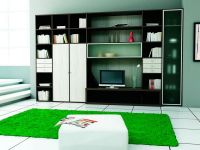 Moderní skříňové stěny pro obývací pokoj 3