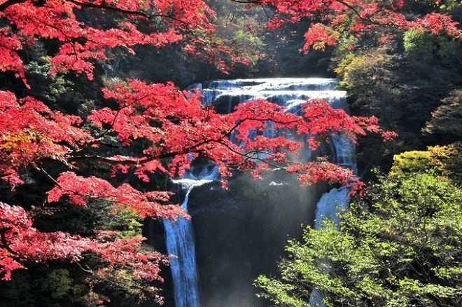 Удивительная природа около водопада