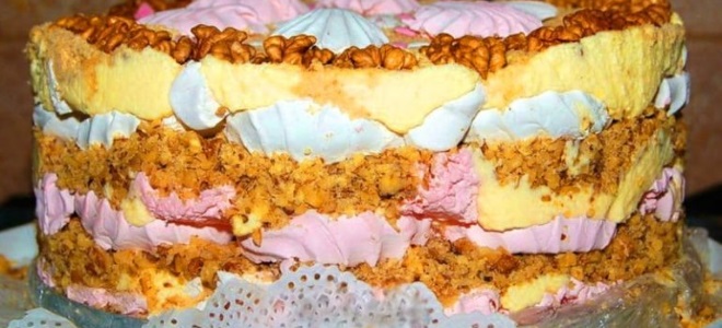 Marshmallow dort bez pečení
