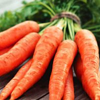 моркови калории