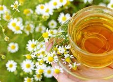 Chamomile Flowers Infusion