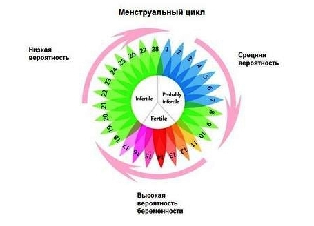 Czy mogę zajść w ciążę natychmiast po menstruacji?