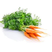 моркови калории