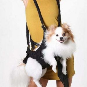 чанта, носеща кучешки прашка