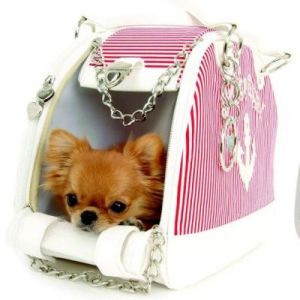 torby transportowe dla małych psów