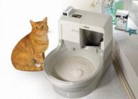 mačka toilet11