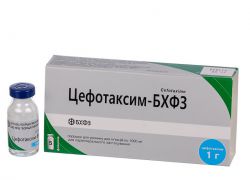 инжектиране на цефотаксим антибиотик