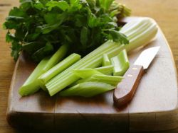 jak pěstovat strouhaný celer