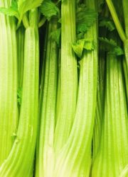 Celer Čerstvá šťáva