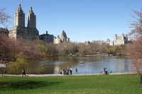 Central Park w Nowym Jorku4