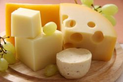 roztavená sýrová strava