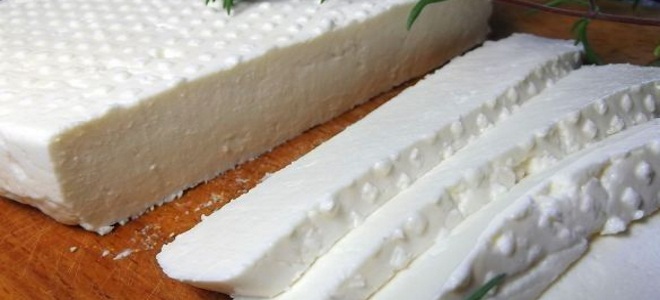 Adyghe sýr z domácího tvarohu