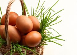калорични пилешки яйца
