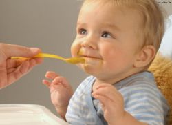 Dítě ve věku 6 měsíců - vývoj a výživa