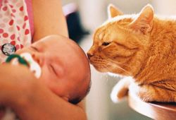 novorozené dítě a kočka